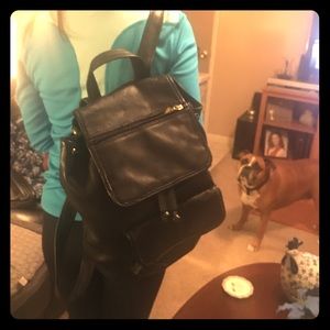 Fossil back pack